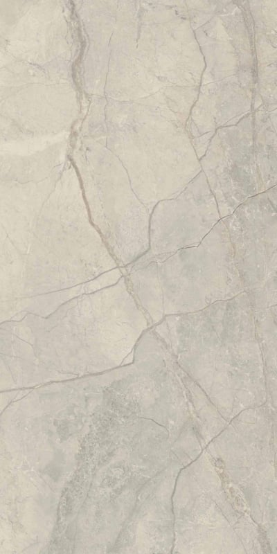 Albendo, vloeren specialist - De Vloertegel / Wandtegel Kale Serpeggiante Wit 60x120cm heeft een lichtgrijze marmeren look met subtiele aderen en natuurlijke grijze en beige patronen voor een elegant steeneffect met textuur.